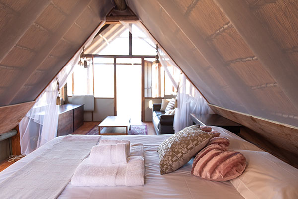 buffelshoek camp manyeleti kruger 22