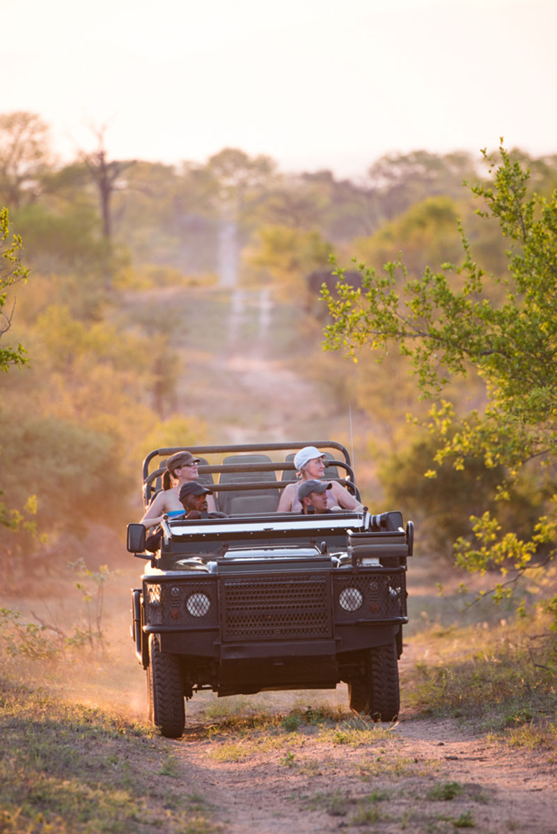 buffelshoek ndzhaka wildlife images 26