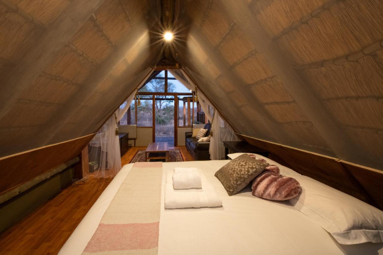 buffelshoek safari camp manyeleti 22