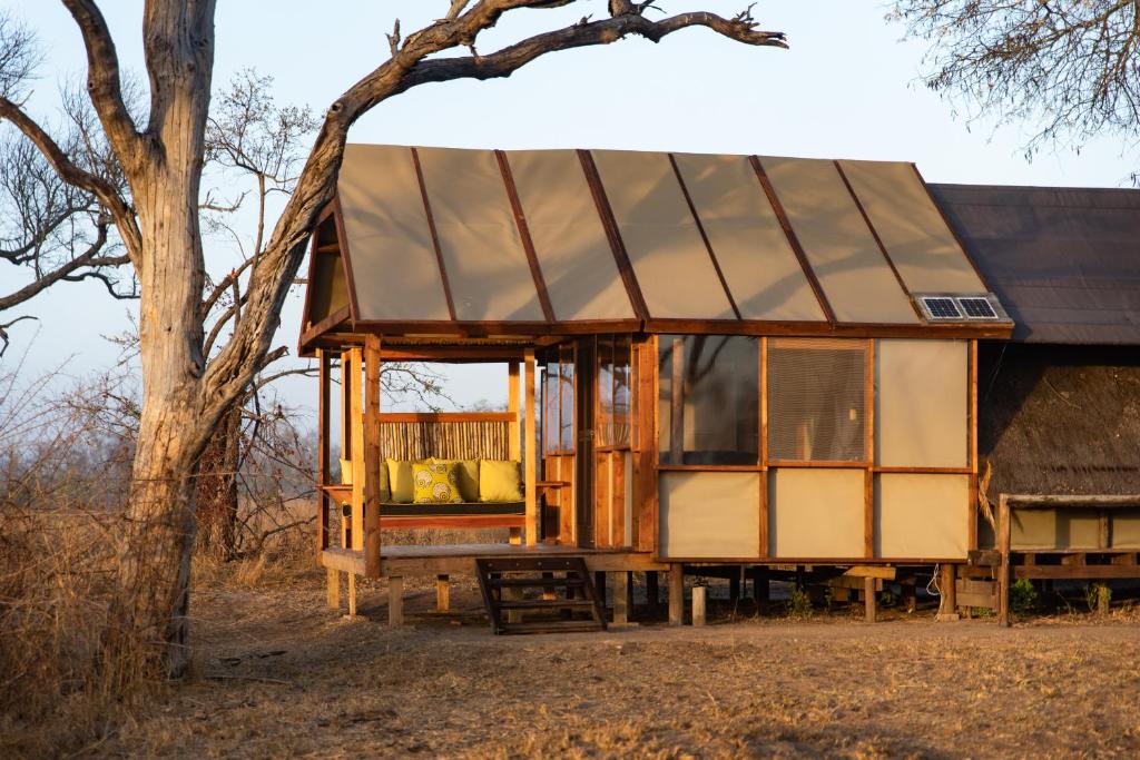 buffelshoek safari camp manyeleti 4