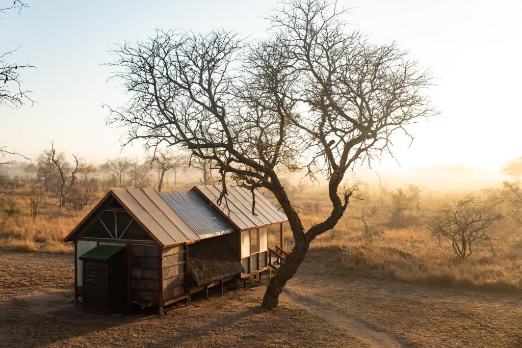 buffelshoek safari camp manyeleti 42