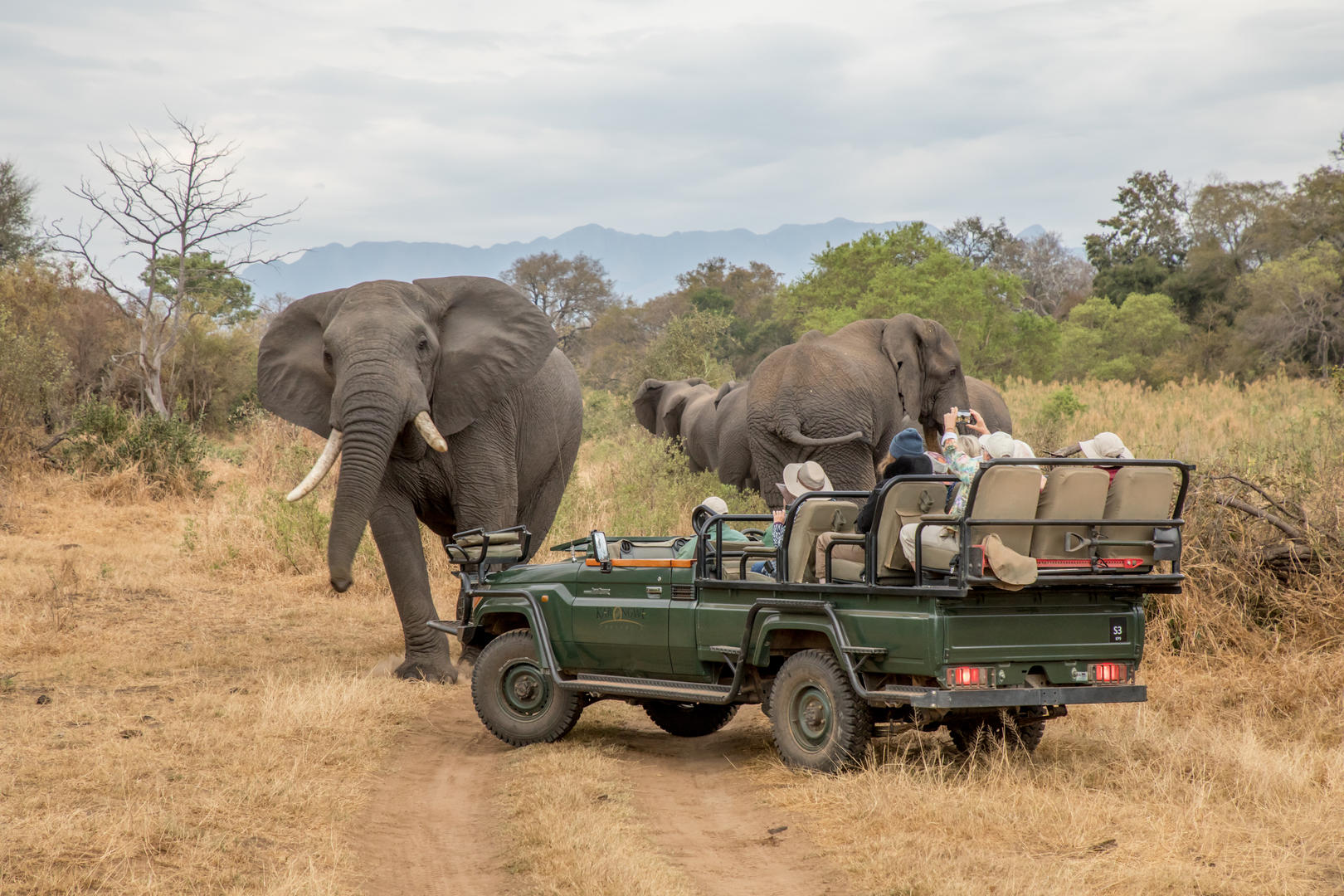 Shiduli Private Game Lodge Korongwe Reserve 23