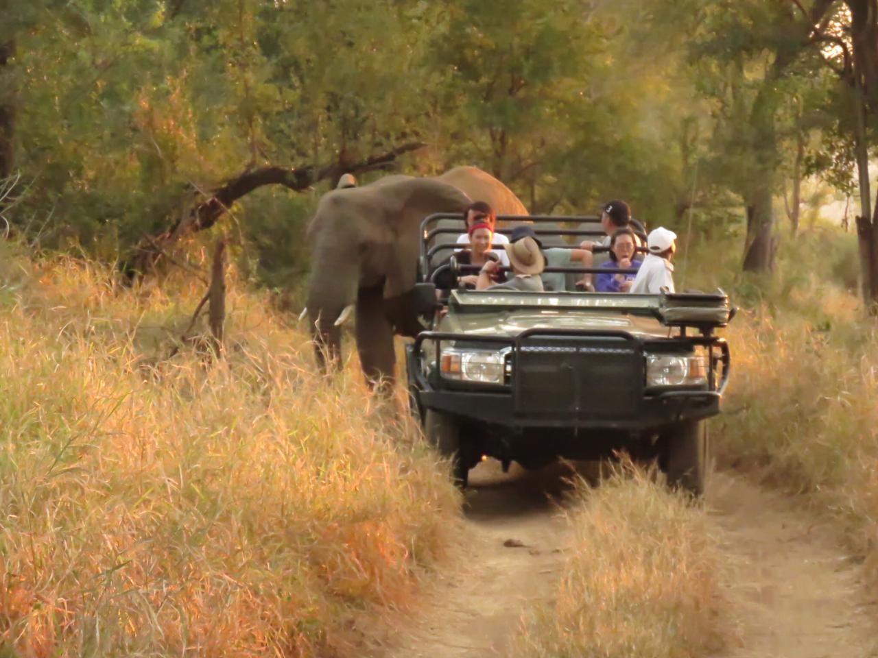 Shiduli Private Game Lodge Korongwe Reserve 30
