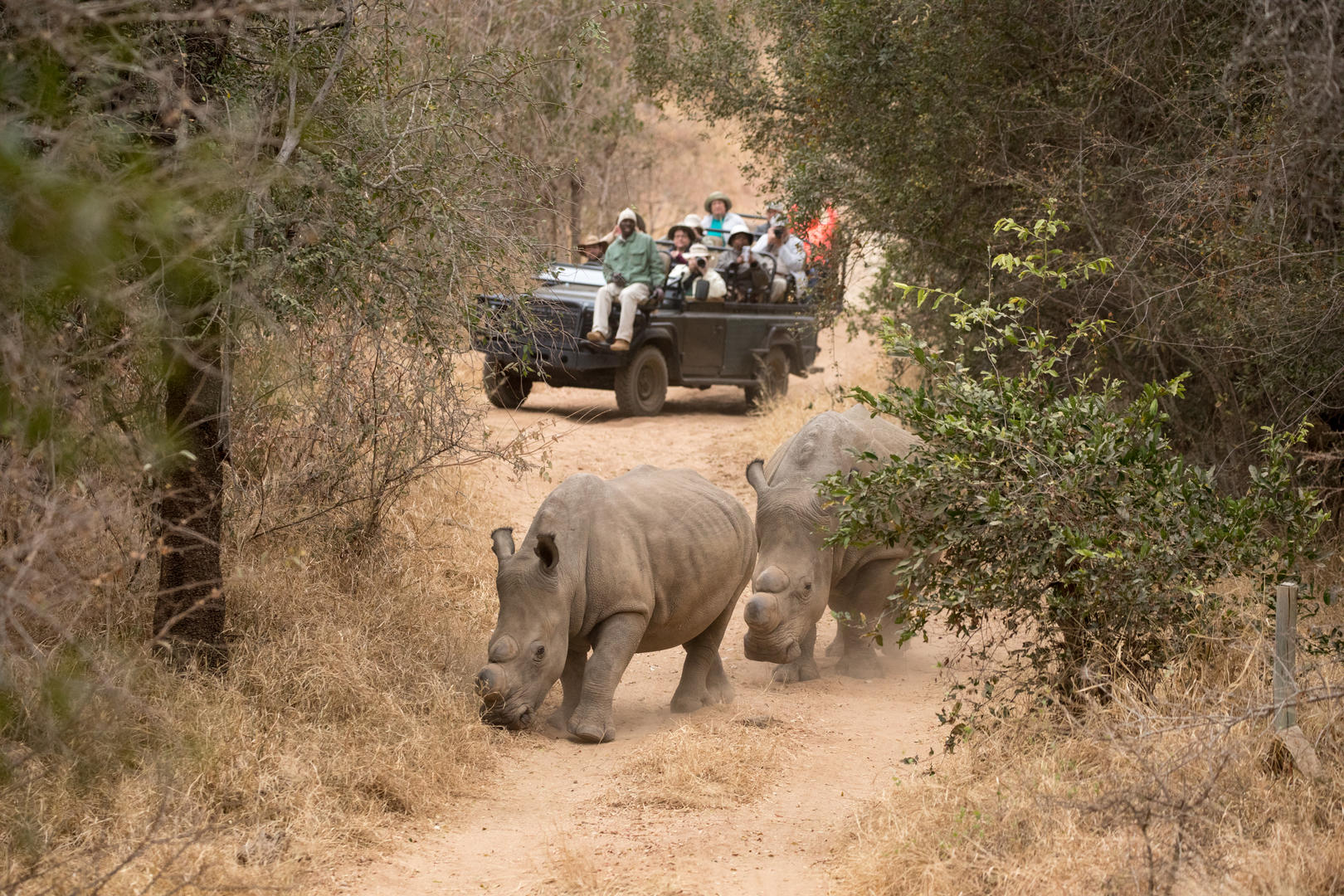 Shiduli Private Game Lodge Korongwe Reserve 8