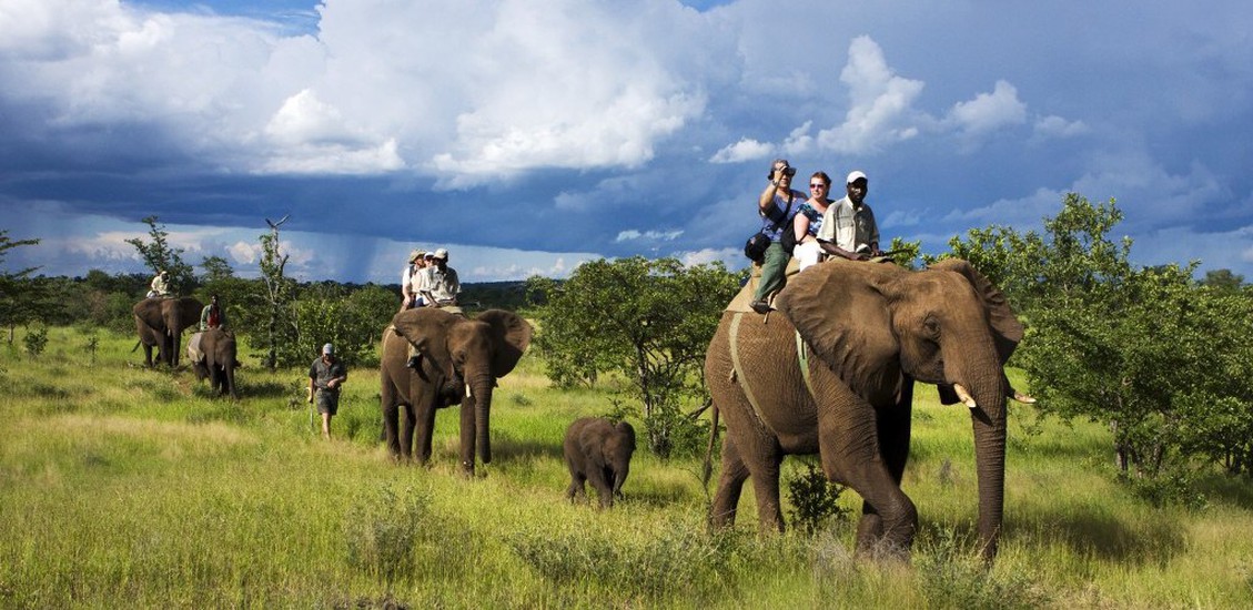 3 Day Victoria Falls Club Safari 2