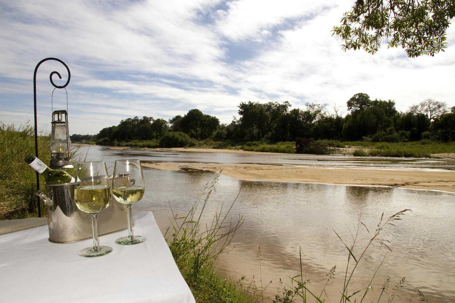 Dulini Moya Sabi Sand Game Reserve Kruger Private Reserves 41