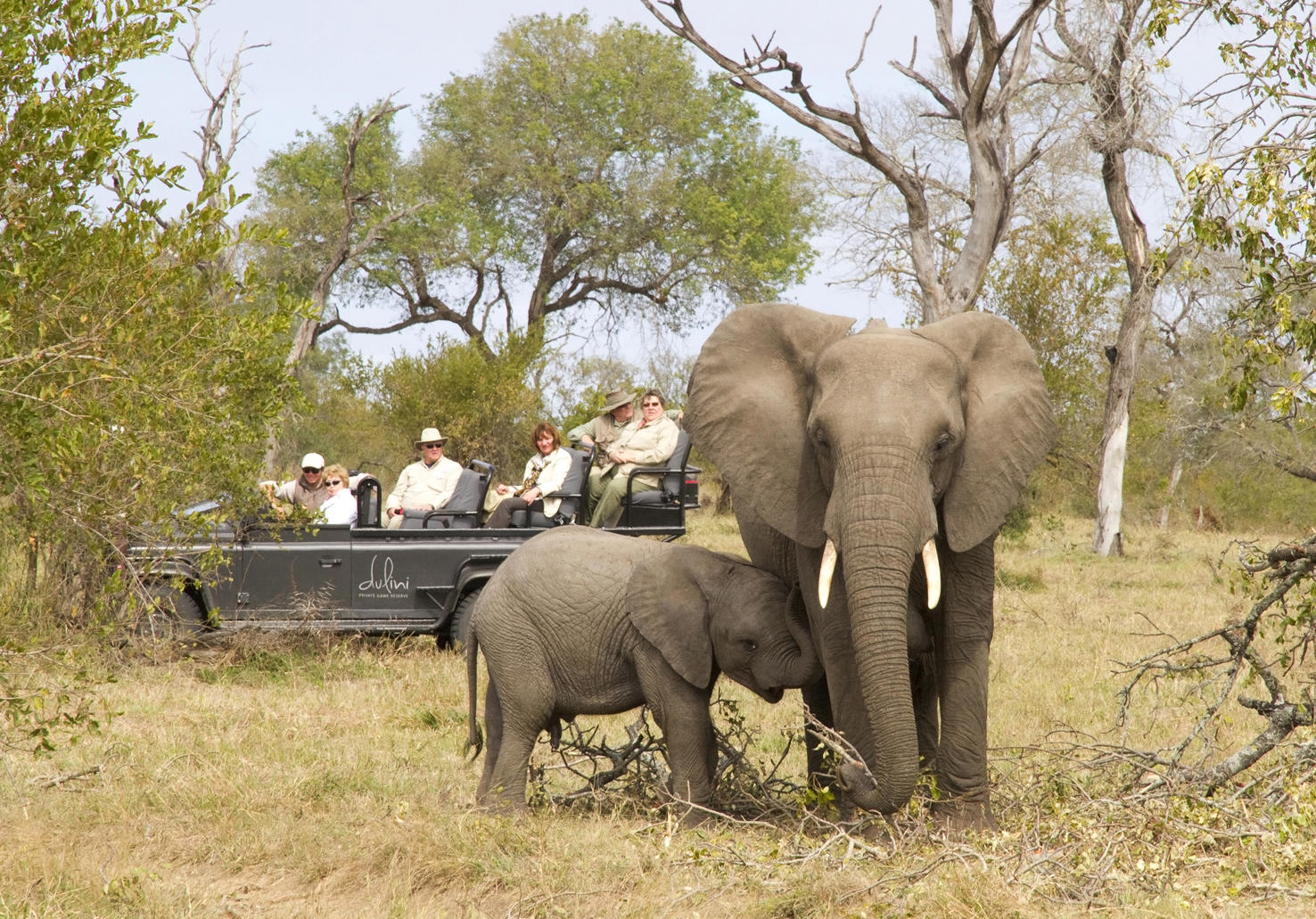 Dulini River Sabi Sand Game Reserve Kruger Private Reserves 7