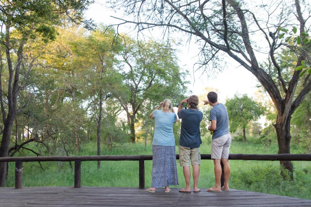 Ndzhaka Tented Camp Manyeleti Game Reserve Kruger National Park 1