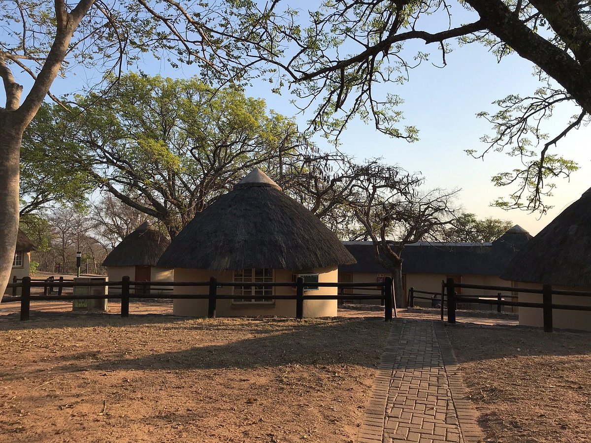 Pretoriuskop 2