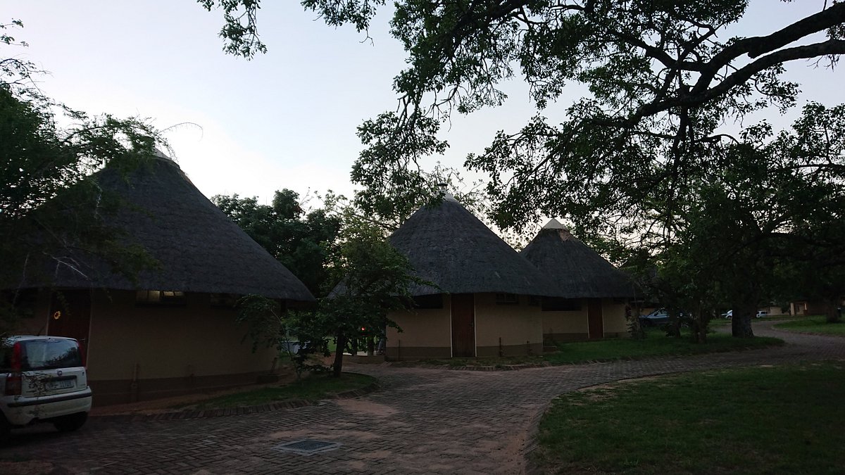 Pretoriuskop 4