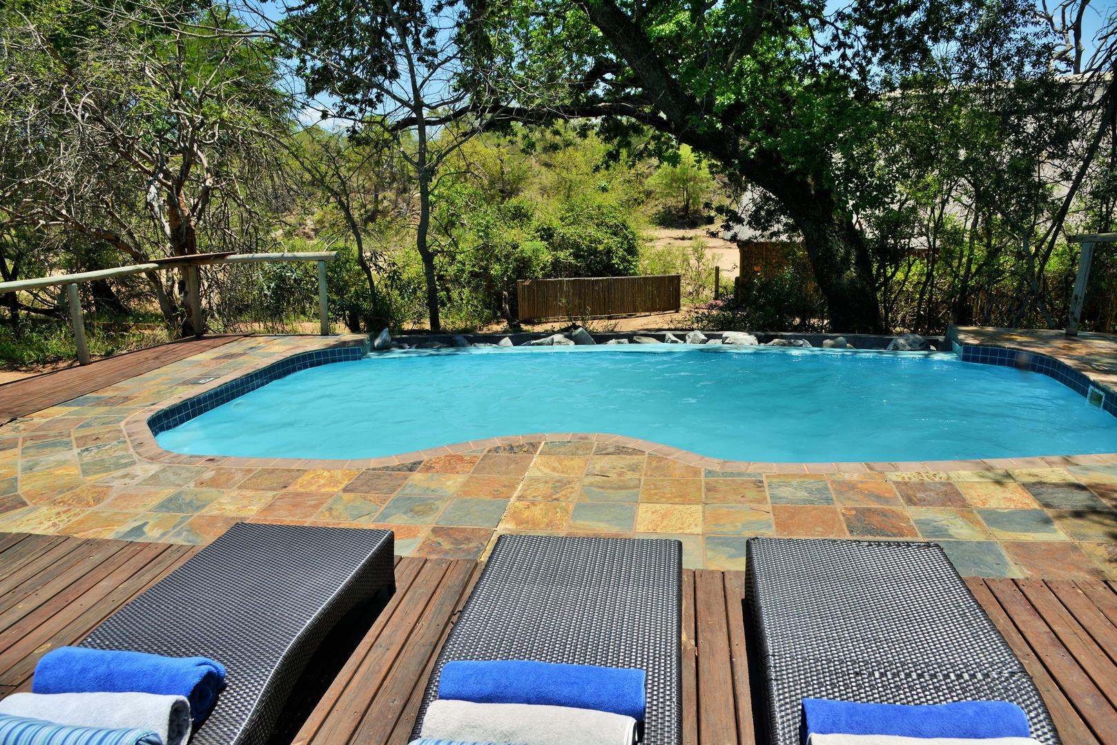 Rhino Post Safari Lodge Kruger Park 9