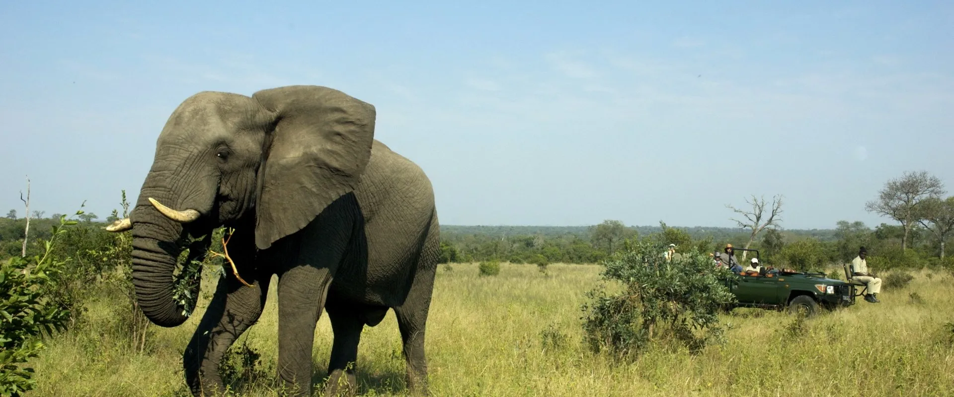 Pungwe Safari Lodge Kruger National park 4