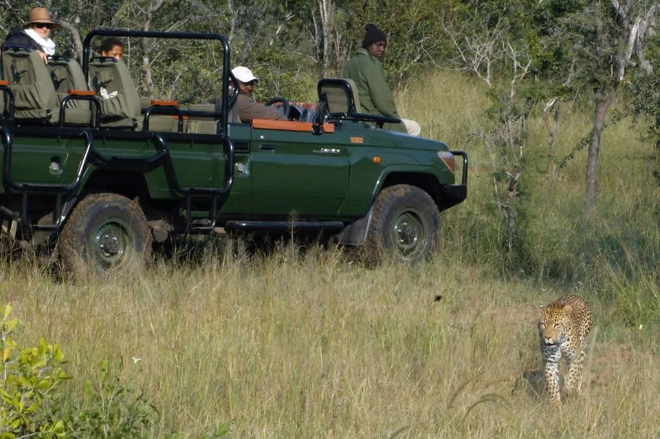 Pungwe Safari Lodge Kruger National park 5