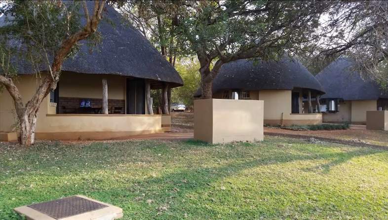 crocodile bridge camp bungalow