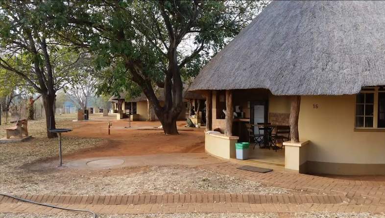 crocodile bridge camp bungalow1