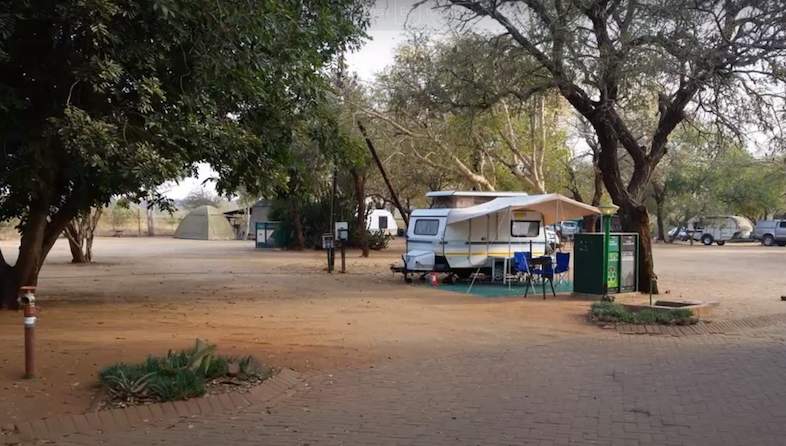 crocodile bridge camp camping