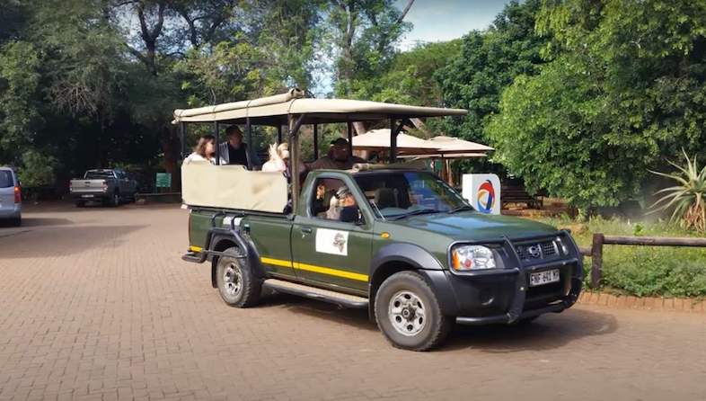 crocodile bridge camp game drive
