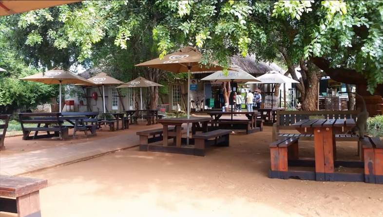crocodile bridge camp outdoor seating