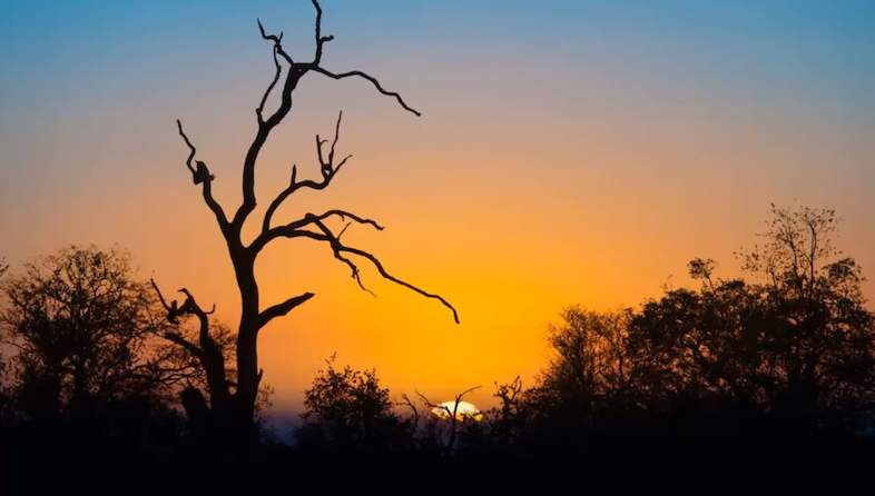 crocodile bridge camp sunset