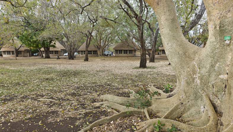 letaba tree camp bungalows