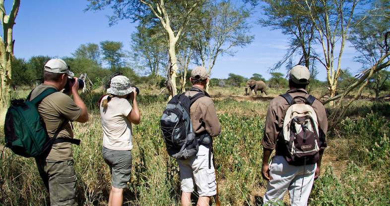 pafuri walking safari kruger park taking photo