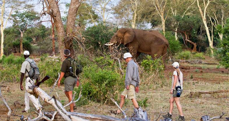 pafuri walking safari kruger park