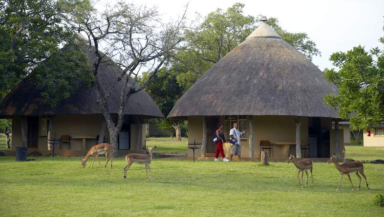 pretoriuskop rest camp bungalows