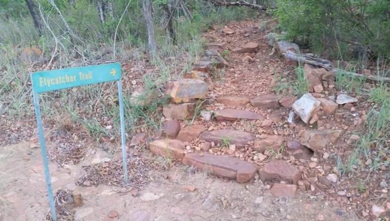 punda maria rest camp in camp trail