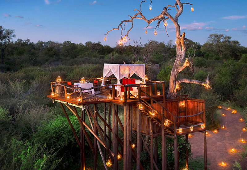 sabi sands lodge