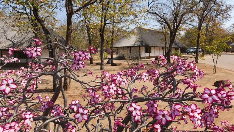 shingwedzi rest camp accommodation exterior