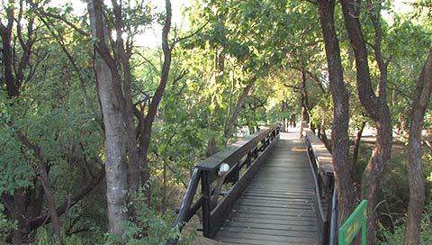 shingwedzi rest camp bridge