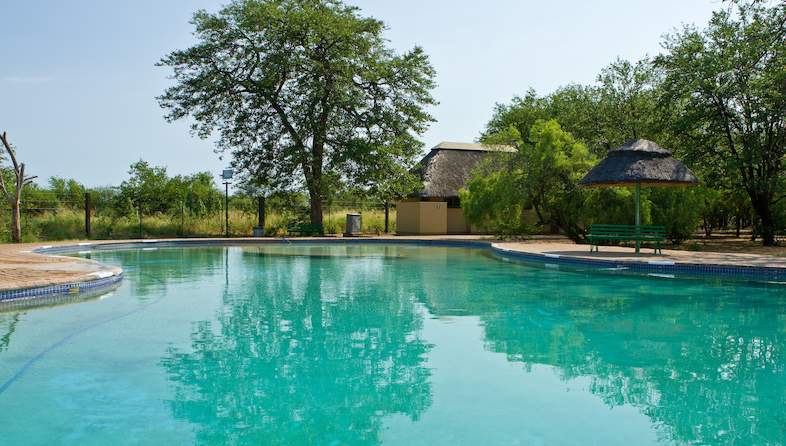 shingwedzi rest camp pool