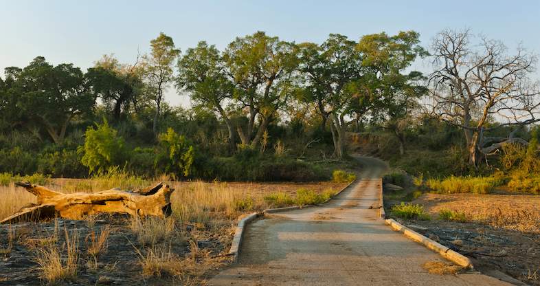 shingwedzi rest camp road less travelled