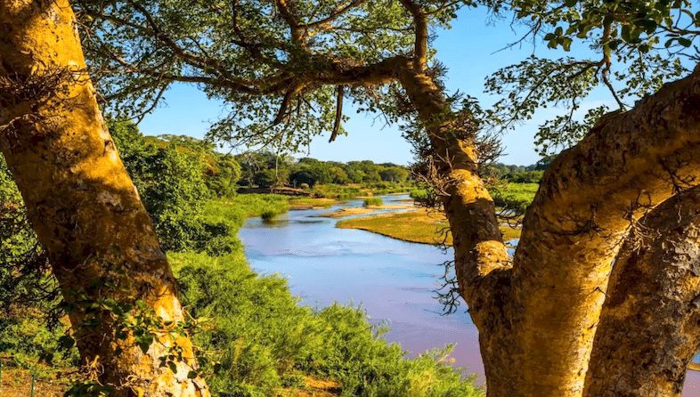 skukuza rest camp sabie river
