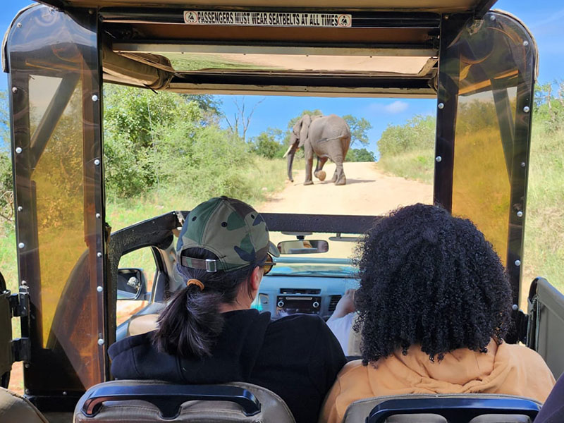 umbhaba eco lodge game drive (elepant)