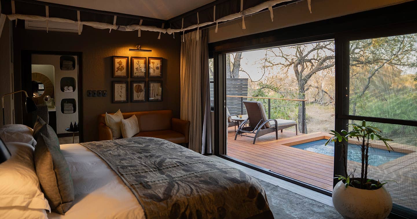 simbambili game lodge 10