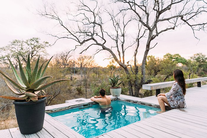 simbambili game lodge 7