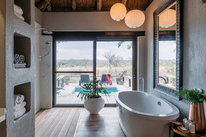 simbambili game lodge 8