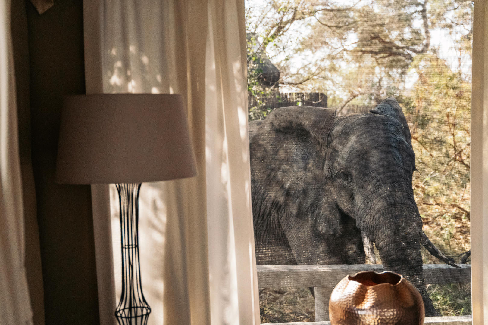 Simbavati River Lodge 3