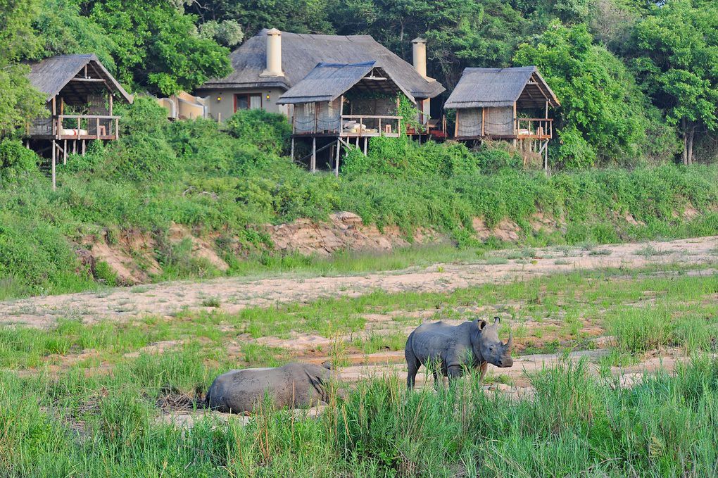 jock safari lodge new images 20