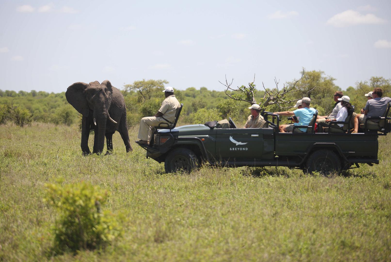 andBeyond Ngala Safari Lodge 1
