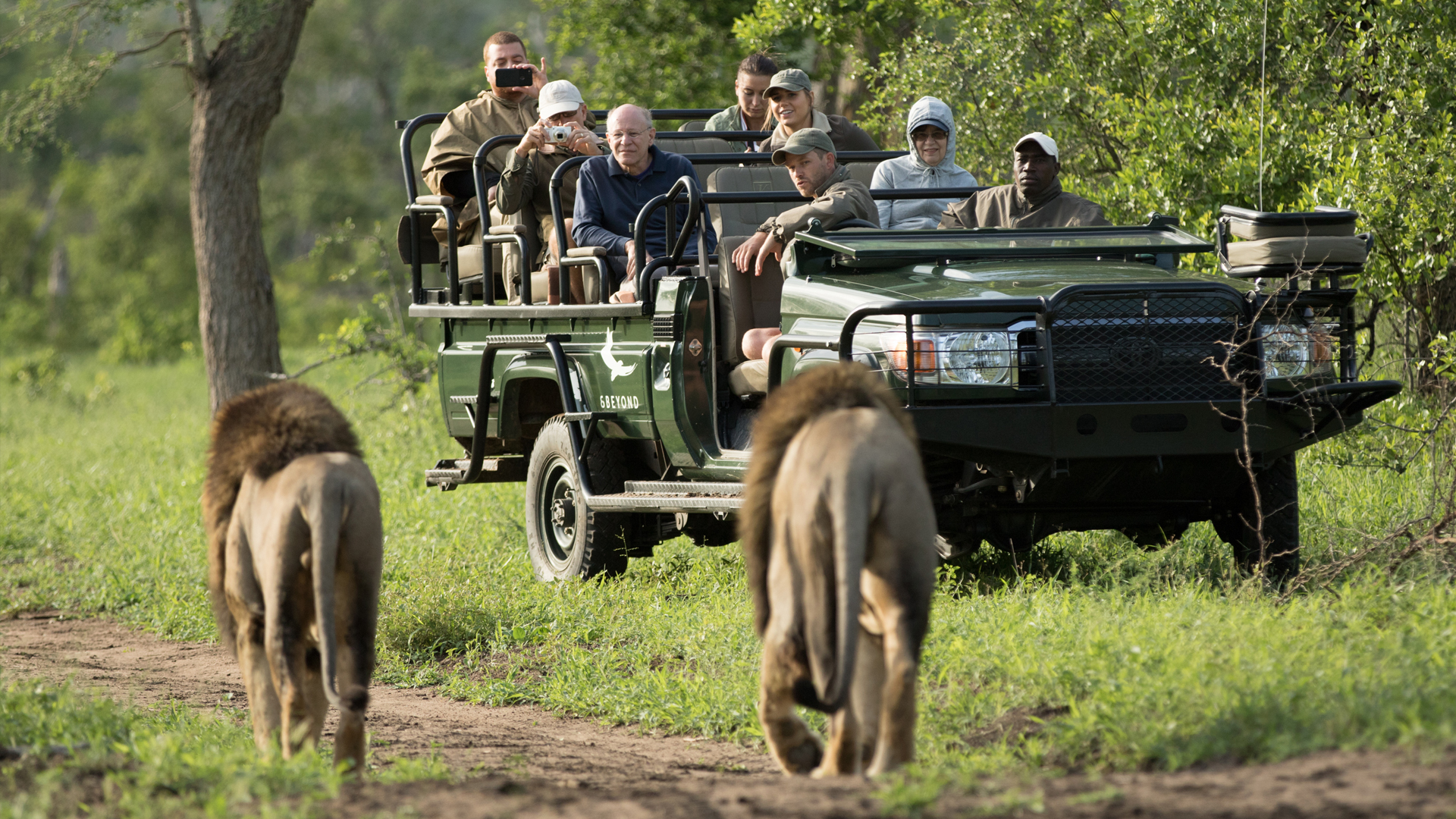 andbeyond ngala safari lodge 15