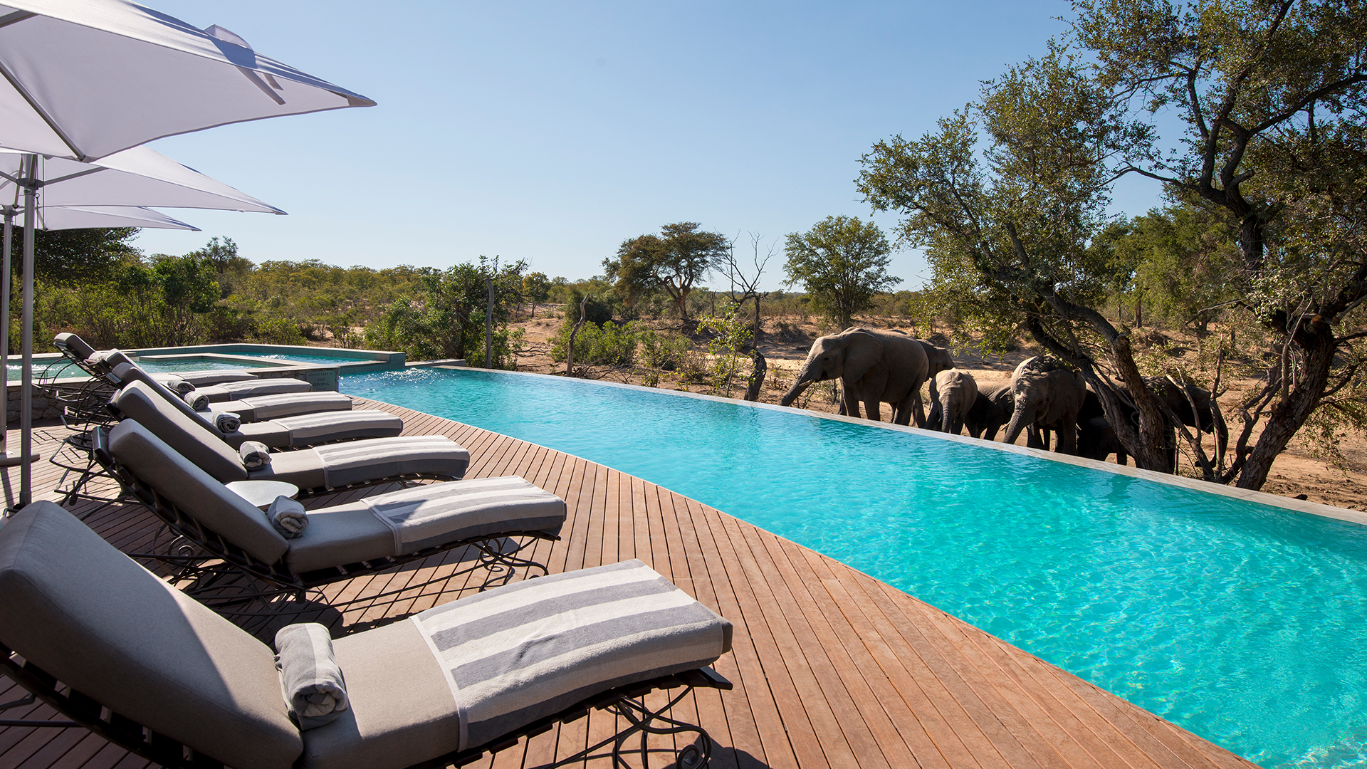 andbeyond ngala safari lodge 16