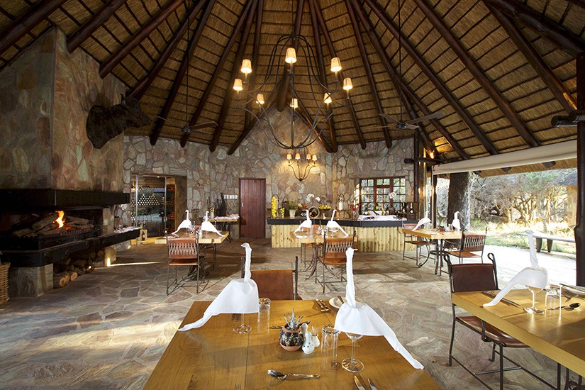 Kapama buffalo camp african safari 4
