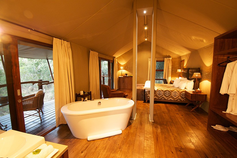 Kapama buffalo camp african safari 5