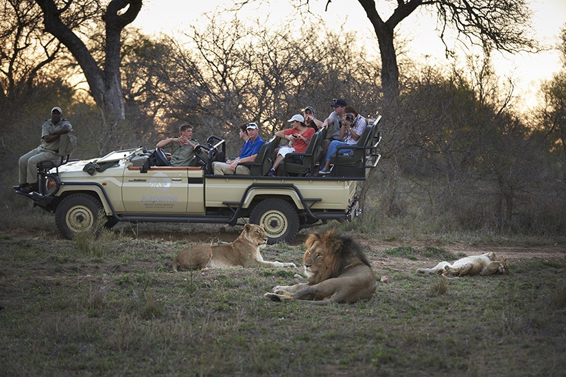 Kapama buffalo camp african safari 7