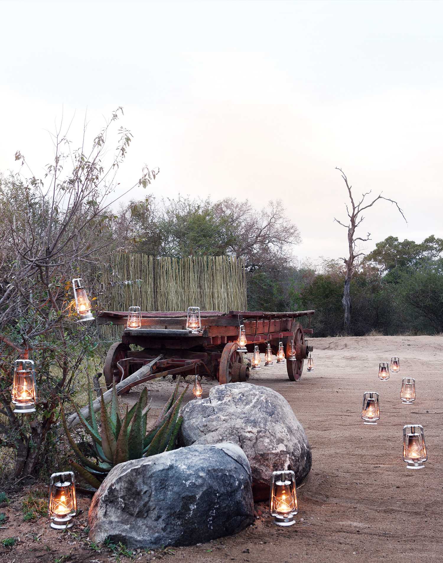 Londolozi Pioneer Camp 13
