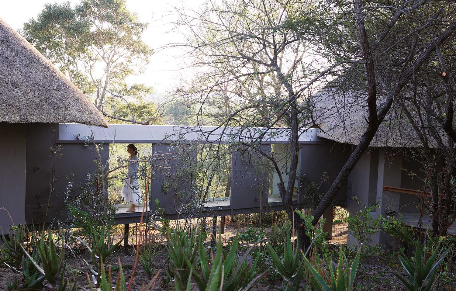 Londolozi Pioneer Camp 18
