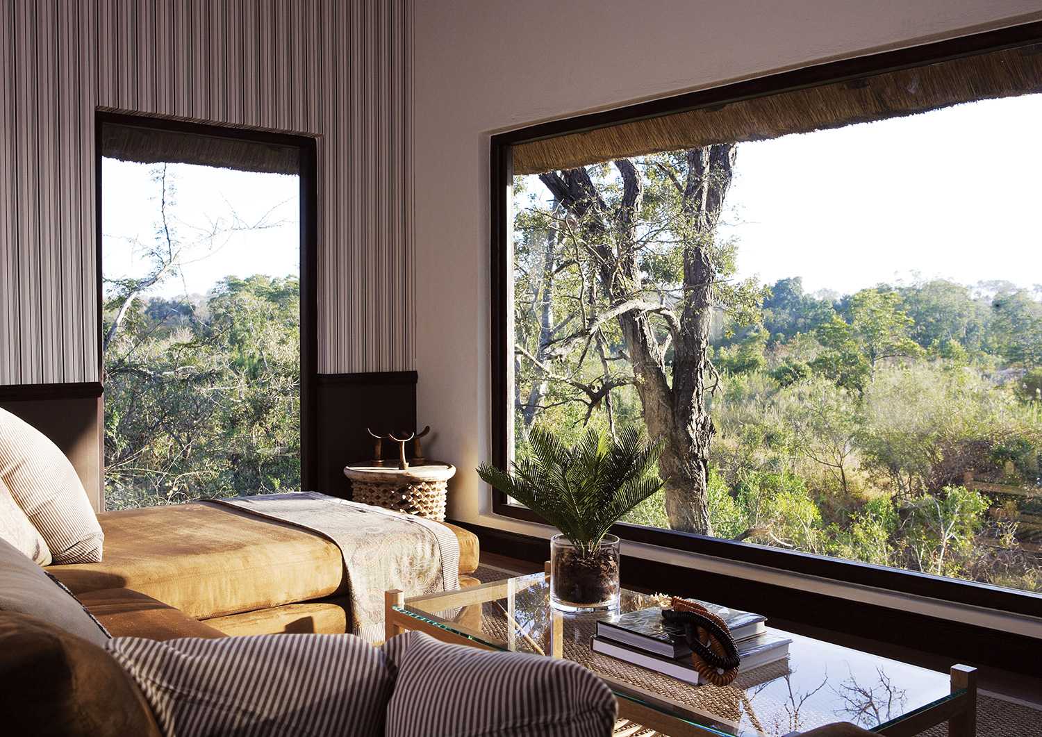 Londolozi Pioneer Camp 2
