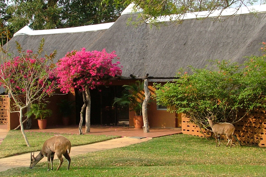 MalaMala Game Reserve Images 17